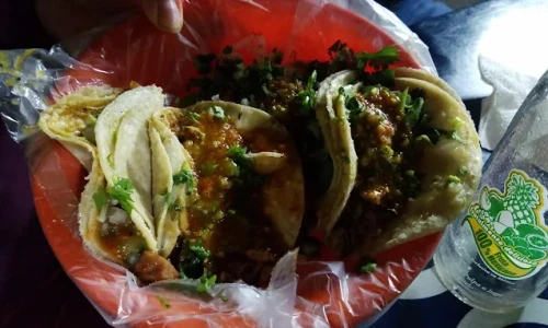tacos en guadalajara santa tere