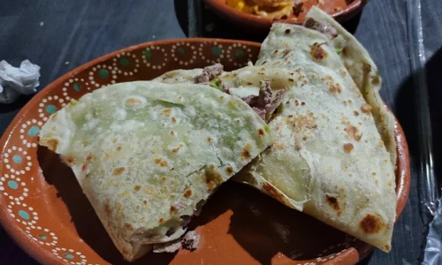 el xolo tacos en guadalajara